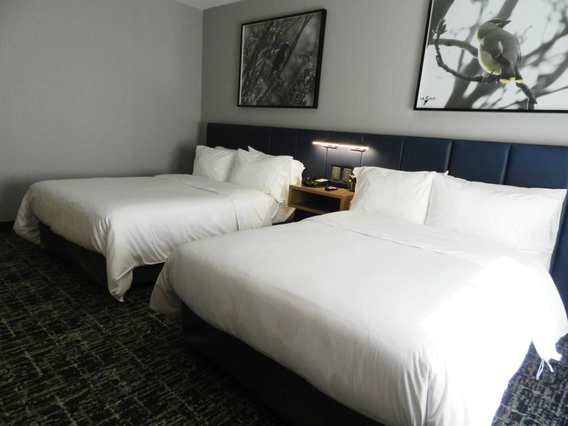 Voco Saltillo Suites By Ihg Exteriör bild