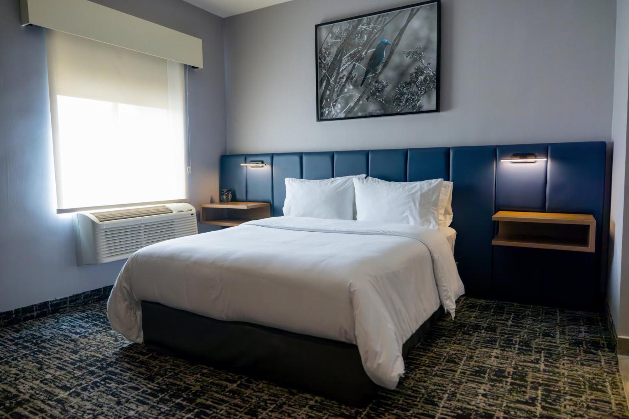 Voco Saltillo Suites By Ihg Exteriör bild