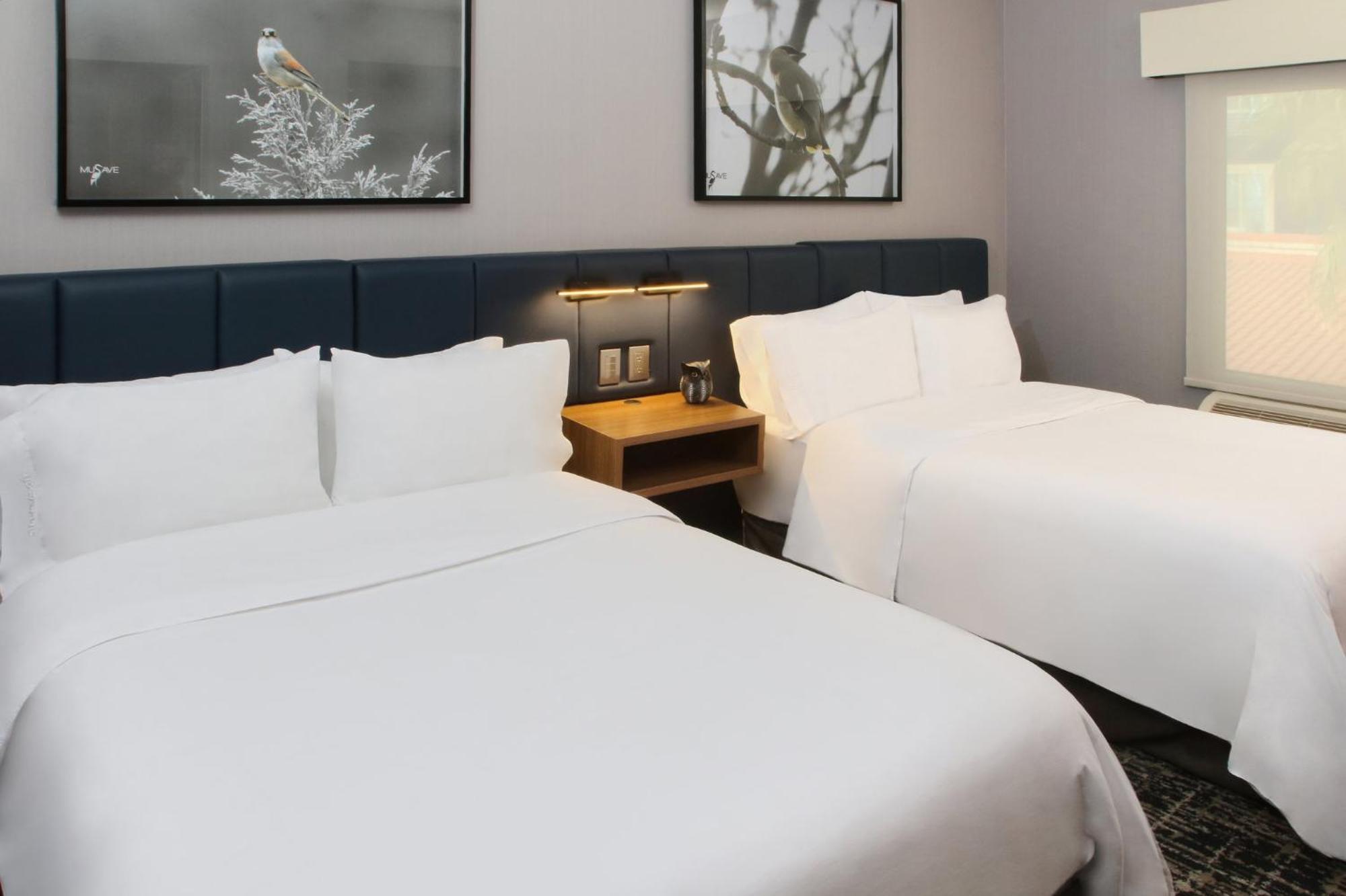 Voco Saltillo Suites By Ihg Exteriör bild