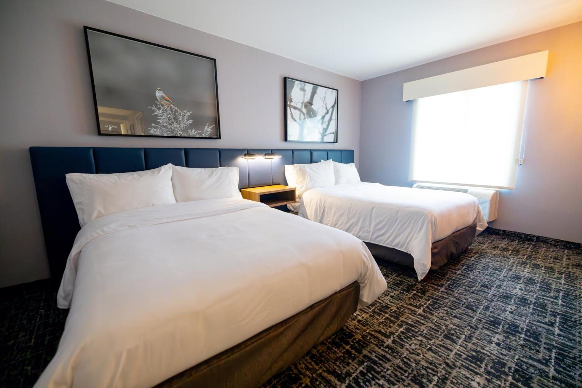 Voco Saltillo Suites By Ihg Exteriör bild