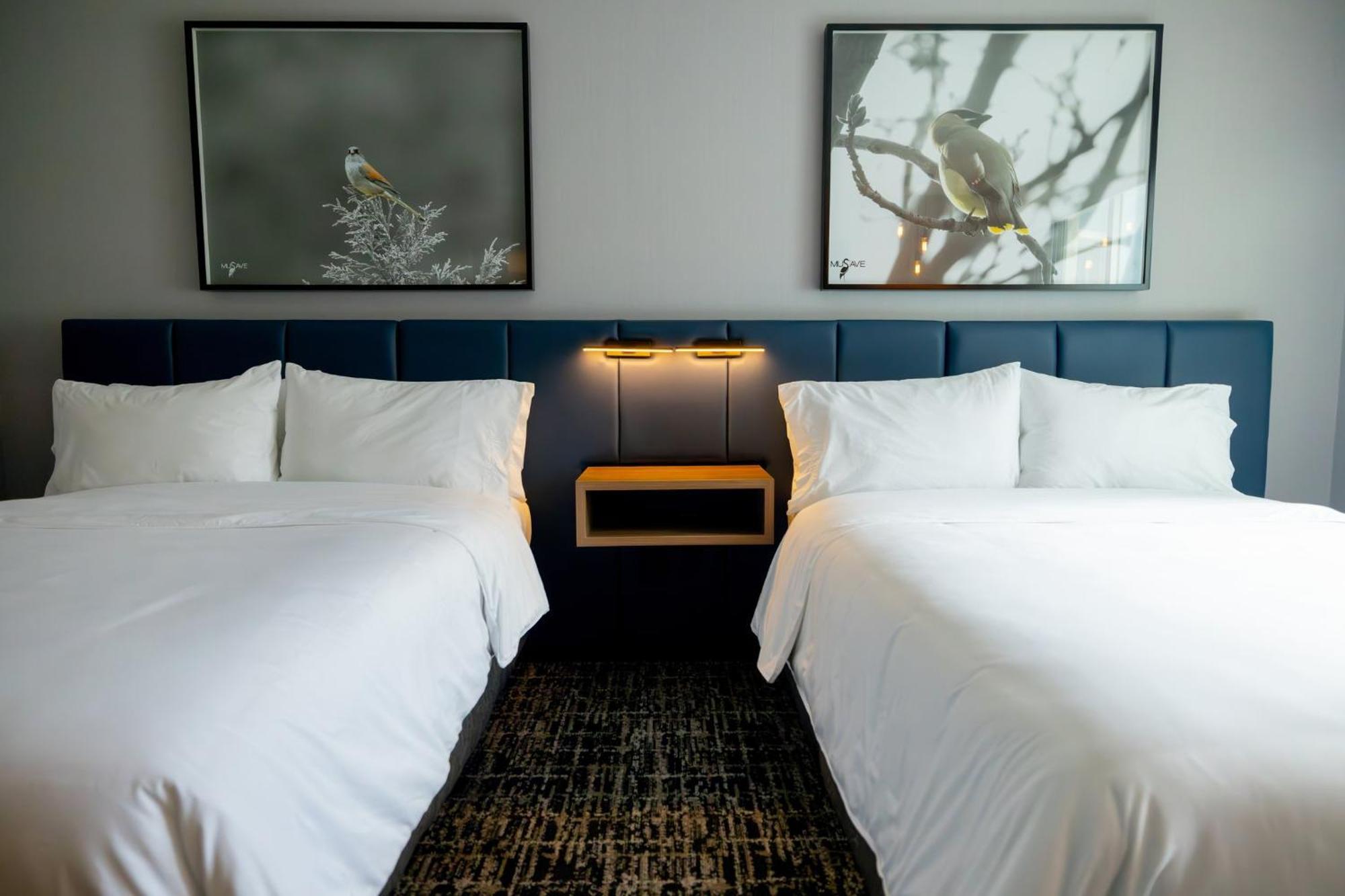 Voco Saltillo Suites By Ihg Exteriör bild